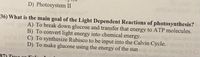 D) Photosystem II
36) What is the main goal of the Light Dependent Reactions of photosynthesis?
A) To break down glucose and transfer that energy to ATP molecules.
ibs ns
C) To synthesize Rubisco to be input into the Calvin Cycle. slg o (8
silim asin
B) To convert light energy into chemical energy.
D) To make glucose using the energy of the sun
37) True or Falt
