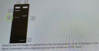 Based on the knowledge you gained from the cloning module, which of the lanes in the
figure is associated with a digested plasmid that contained a PCR insert?