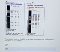 A:
Lambda DNA/Hindlll Marker, 2
B:
GeneRuler" 1 kb DNA Ladder
tp no0.5
O'GeneRuler" 1 kb DNA Ladder,
ready-to-use
bp ng/0.5 pg
23130 2384 07
W1 19.4
676 13.5
4961 450
9416
6557
9.0
564
5.8
1500 25.0
5.0
12
750
1000 60.0 12.0
25.0
5.0
125
13
0.3
500
25.0
5.0
250
25.0
5.0
0.5pon, Bom lngth g
1XTAE, 7Vom 45 mi
Range
8 fragments on bp: 23130, 9416, 6557,
4361 2322, 2027,.564, 125
0.5 pgtne, 8 cm kength gel
IIXTAE, 7VRm 45 min
Which ladder would be the BEST to use if you had a sample that should measure
both 1010 bp and 2027 bp?
Tapito" LE GO Agune (RO1)
