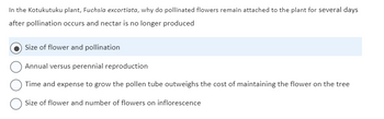 In the Kotukutuku plant, *Fuchsia excorticata*, why do pollinated flowers remain attached to the plant for several days after pollination occurs and nectar is no longer produced?

- Size of flower and pollination (selected)
- Annual versus perennial reproduction
- Time and expense to grow the pollen tube outweighs the cost of maintaining the flower on the tree
- Size of flower and number of flowers on inflorescence

In this educational scenario, we see a multiple-choice question exploring the botanical behavior of the Kotukutuku plant. This question aims to understand why pollinated flowers remain attached after pollination and nectar production ceases, highlighting various biological and reproductive strategies.