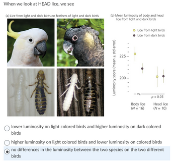 The image is a scientific exploration of head lice on birds, specifically analyzing the luminosity of lice from light and dark birds.

**Section (a):** 
This section shows images of two birds and the lice found on them. On the top left, a light-colored bird is depicted, while the top right shows a dark-colored bird. Below these, images of lice are shown: one from a light bird on the left and one from a dark bird on the right. The lice exhibit differences in coloration that correspond to the bird they were collected from.

**Section (b):**
This section provides a graph of the mean luminosity of body and head lice from light and dark birds. 

- The x-axis differentiates between body lice and head lice, indicating sample sizes: body lice (N = 16) and head lice (N = 10).
- The y-axis represents the luminosity score (mean ± std error).
- Two sets of data points are shown: yellow represents lice from light birds, while dark represents lice from dark birds.

The data suggest a statistical difference in luminosity scores (p < 0.05) between lice from light and dark birds.

**Options:**
1. Lower luminosity on light-colored birds and higher luminosity on dark-colored birds.
2. Higher luminosity on light-colored birds and lower luminosity on dark-colored birds.
3. No differences in the luminosity between the two species on the two different birds.

The highlighted option is "no differences in the luminosity between the two species on the two different birds," indicating that this is the correct interpretation based on the analysis presented.