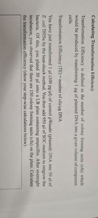 Calculating Transformation Efficiency
Transformation Efficiency is defined as the number of colony forming units (cfu) which
would be produced by transforming 1 ug of plasmid DNA into a given volume of competent
cells.
Transformation Efficiency (TE) = number of cfu/ug DNA
You have just transformed 1 ul (100 pg/ul) of control pWasabi (plasmid) DNA into 50 ul of
E. coli DH5oa by the heat-shock method. You then add 950 µl of SOC medium to outgrow the
bacteria. Of this, you plated 50 µl onto a LB plate containing ampicillin. After overnight
incubation, you observed that there are 150 colony forming units (cfu) on the plate. Calculate
the transformation efficiency (show your step-wise calculations below).
