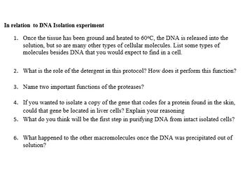 In relation to DNA Isolation experiment
1. Once the tissue has been ground and heated to 60°C, the DNA is released into the
solution, but so are many other types of cellular molecules. List some types of
molecules besides DNA that you would expect to find in a cell.
2. What is the role of the detergent in this protocol? How does it perform this function?
3. Name two important functions of the proteases?
4. If you wanted to isolate a copy of the gene that codes for a protein found in the skin,
could that gene be located in liver cells? Explain your reasoning
5. What do you think will be the first step in purifying DNA from intact isolated cells?
6. What happened to the other macromolecules once the DNA was precipitated out of
solution?