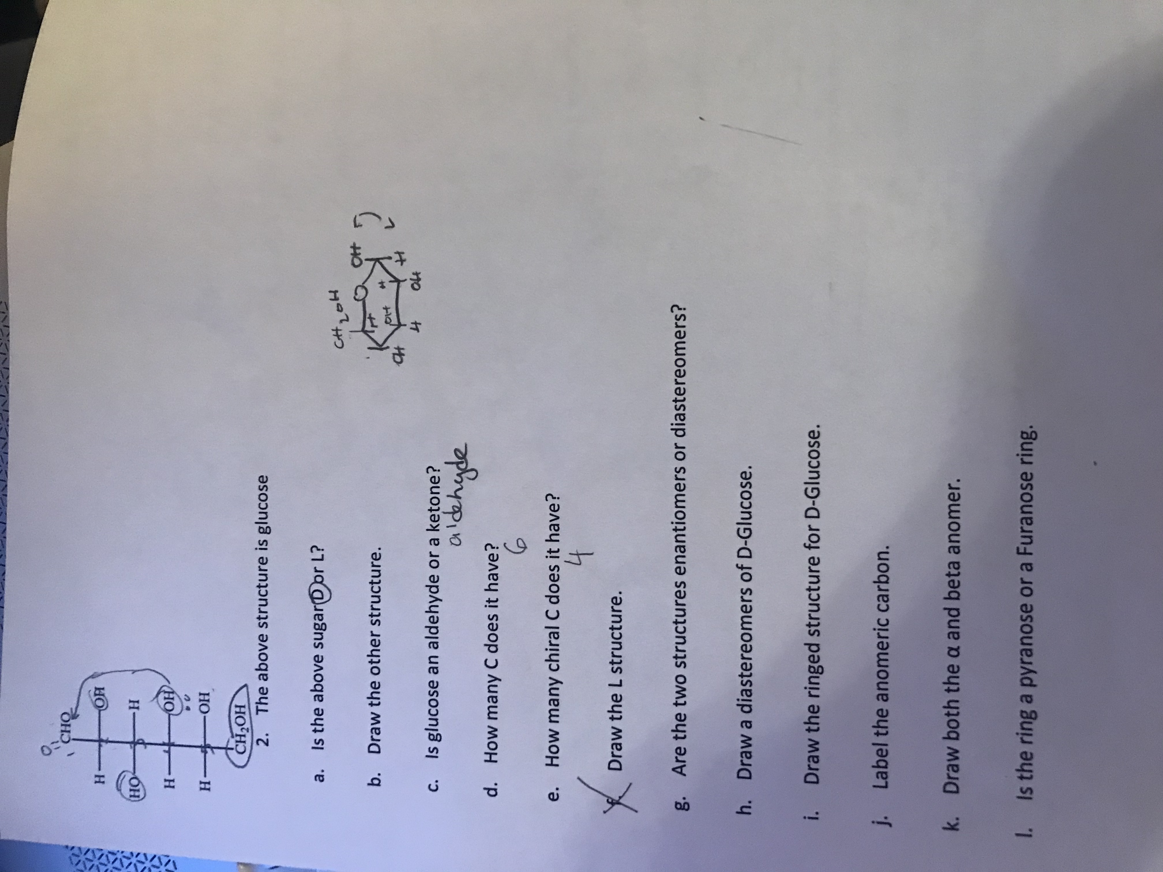 CHO
H.
HO
H-
H.
HO
H.
HO-
HO H
2. The above structure is glucose
a. Is the above sugar(Dor L?
CH
b. Draw the other structure.
c. Is glucose an aldehyde or a ketone?
aldehyde
d. How many C does it have?
6.
e. How many chiral C does it have?
Draw the L structure.
g. Are the two structures enantiomers or diastereomers?
h. Draw a diastereomers of D-Glucose.
i. Draw the ringed structure for D-Glucose.
j. Label the anomeric carbon.
k. Draw both the a and beta anomer.
1 Is the ring a pyranose or a Furanose ring.
