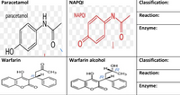 NAPQI
Classification:
Paracetamol
NAPQI
Reaction:
paracetamol
Enzyme:
HOʻ
Warfarin alcohol
Classification:
Warfarin
HR
CHS
но
CH3
но
Reaction:
Enzyme:
IZ
