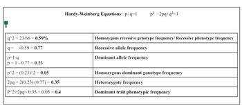 q^2=23/66= 0.59%
q= √0.59 = 0.77
p=1-q
p=1-0.77= 0.23
p^2=(0.23)^2 = 0.05
2pq=2(0.23) (0.77) = 0.35
P^2+2pq=0.35 + 0.05 = 0.4
Hardy-Weinberg Equations: p+q=1 p² +2pq+q²=1
Homozygous recessive genotype frequency/ Recessive phenotype frequency
Recessive allele frequency
Dominant allele frequency
Homozygous dominant genotype frequency
Heterozygote frequency
Dominant trait phenotypic frequency