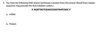 4. You have the following DNA strand. Synthesize a protein from this strand. (Recall that a leader
sequence may precede the AUG initiation codon.)
3' AGATTACTCGAGCCGGGTAATCGGC 5'
a. MRNA
b. Protein
