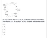 **Transcription and Explanation for Educational Website:**

**Diagram Explanation:**  
The diagram illustrates the Citric Acid Cycle, also known as the Krebs Cycle, which is a key metabolic pathway that oxidizes Acetyl CoA to produce energy in the form of ATP. Significant intermediates and processes in the cycle include:

- Initiation with Acetyl CoA combining with Oxaloacetate to form Citrate.
- Sequential transformation into Isocitrate, then α-Ketoglutarate, and Succinyl CoA.
- Release of CO₂ molecules during the transformation from Isocitrate to α-Ketoglutarate and from α-Ketoglutarate to Succinyl CoA.
- Regeneration of Oxaloacetate from Malate.
- Energy carrier molecules NADH, FADH₂, and ATP are produced throughout the cycle.

**Question:**  
"For each molecule of glucose (C₆H₁₂O₆) oxidized by cellular respiration, how many moles of CO₂ are released in the citric acid cycle? (see the figure above)"

**Options:**  
a. 2  
b. 4  
c. 6  
d. 0  
e. 3

---

The correct answer involves considering the cycle's operation per glucose molecule, as each glucose results in two turns of the citric acid cycle.