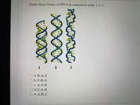 Name these forms of DNA in numerical order 1-2-3.
1
2 3
а. В-А-Z
b. Z-B-A
O C. A-Z-B
O d. Z-A-B
Ое. А-В-Z
