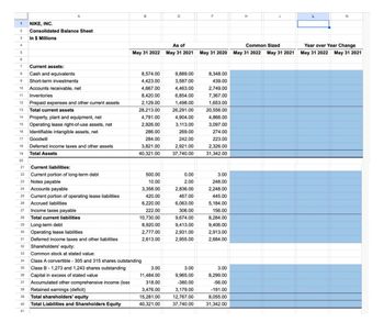 Nike income statement hot sale and balance sheet