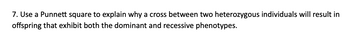 7. Use a Punnett square to explain why a cross between two heterozygous individuals will result in
offspring that exhibit both the dominant and recessive phenotypes.