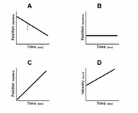 Answered: B Position (meters) Position (meters)… | bartleby