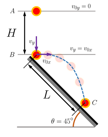 Answered: A Tennis Ball Of Mass M Is Dropped From… | Bartleby