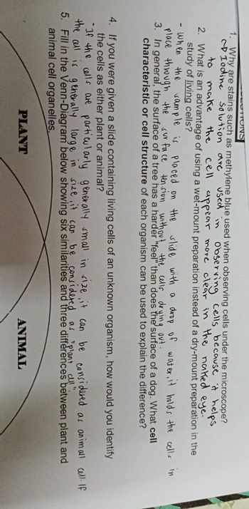 PEUTTONS
1. Why are stains such as methylene blue used when observing cells under the microscope?
CD Iodine Solution are used in observing cells because it helps
appear more clear in the naked eye.
make the
to
cell
2. What is an advantage of using a wet-mount preparation instead of a dry-mount preparation in the
study of living cells?
- When
the
sample is placed on the slide with a drop of water, it holds the cells in
place through the surface tension without the cells drying out.
3. In general, the surface of a tree has a harder "feel" than does the surface of a dog. What cell
characteristic or cell structure of each organism can be used to explain the difference?
4. If you were given a slide containing living cells of an unknown organism, how would you identify
the cells as either plant or animal?
"If the cells are particularly generally small in size, it can be considered as animall cell. If
the all is generally large in size, it can be considered as "plant all".
5. Fill in the Venn-Diagram below showing six similarities and three differences between plant and
animal cell organelles.
PLANT
ANIMAL