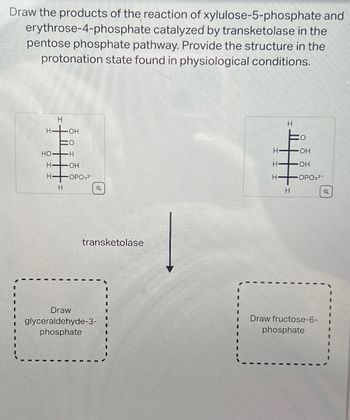 Answered: Draw the products of the reaction of… | bartleby