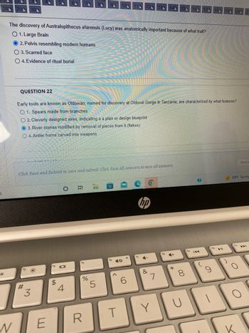 8
91 10
119
120
3
15
28
29
09 17
30
The discovery of Australopithecus afarensis (Lucy) was anatomically important because of what trait?
01. Large Brain
O2. Pelvis resembling modern humans
O 3. Scarred face
O 4. Evidence of ritual burial
QUESTION 22
Early tools are known as Oldowan, named for discovery at Olduvai Gorge in Tanzania, are characterized by what features?
O1. Spears made from branches
O 2. Cleverly designed axes, indicating a a plan or design blueprint
3. River stones modified by removal of pieces from it (flakes)
O4. Antler horns carved into weapons
Save A
Click Save and Submit to save and submit. Click Save All Answers to save all answers.
69°F Sunny
hp
N
#
3
E
$
O
10
4
f5
%
R
31
5
10
T
6
17
4-
&
7
Y
+
00
C
U
fo
181
19 20 2
O
K