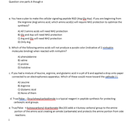 Question one parts A though e
a. You have a plan to make the cellular signaling peptide RGD (Arg-Gly-Asp). If you are beginning from
the Arginine (Arg) amino acid, which amino acid(s) will require NH2 protection to optimize the
synthesis?
A) All 3 amino acids will need NH2 protection
B) Gly and Asp will need NH2 protection
C) Arg and Gly will need NH2 protection
D) Only Arg
b. Which of the following amino acids will not produce a purple color (indicative of 2 ninhydrin
molecules binding) when reacted with ninhydrin?
A) phenylalanine
B) valine
C) proline
D) histidine
c. If you had a mixture of leucine, arginine, and glutamic acid in a pH of 6 and applied a drop onto paper
connected to an electrophoresis apparatus. Which of these would move toward the cathode (-).
A) Leucine
B) Arginine
C) Glutamic Acid
D) None of them
d. True/False - Dicyclehexvlcarbodiimide is a typical reagent in peptide synthesis for protecting
carboxylic acid groups.
e. True/False t-butoxycarbonyl dicarbonate (Boc20) adds a t-butoxy carbonyl group to the amine
portion of the amino acid creating an amide (carbamate) and protects the amine portion from side
reactions.
