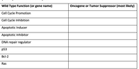 Wild Type Function (or gene name)
Oncogene or Tumor Suppressor (most likely)
Cell Cycle Promotion
Cell Cycle Inhibition
Apoptotic Inducer
Apoptotic Inhibitor
DNA repair regulator
p53
Bcl-2
Ras
