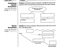 **Main Idea**

**Transitional Aquatic Ecosystems**
*I found this information on page ______.*

**Details**

Compare transitional aquatic ecosystems. Identify two types in the organizer below and describe the environments each type combines.

Diagram:
- Central oval labeled “Transitional Aquatic Ecosystems” connected to two empty boxes for identifying ecosystem types.
- Below each box, there is a space labeled “combine:” for describing the environments involved.

**Marine Ecosystems**
*I found this information on page ______.*

Identify the marine ecosystems. Write the name of the zone in each box in the figure below.

Diagram:
- A horizontal diagram showing a progression from “shore” to “extreme depth.”
- A box near the shore, a box after “200 m,” a box above the “ocean floor,” and a box at “extreme depth” for identifying zones.