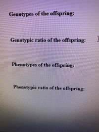 **Genotypes of the Offspring:**

This section would typically list the possible genetic combinations resulting from a genetic cross. It includes all the alleles each parent can pass on and outlines the potential genetic makeup of their offspring.

**Genotypic Ratio of the Offspring:**

Here, you would find the proportion of different genotypes among the offspring. This is often expressed in the format of a ratio and provides insight into how frequently each genotype appears.

**Phenotypes of the Offspring:**

This part describes the physical or observable traits of the offspring that result from the genotypes listed above. Phenotypes are determined by the interaction of genotypes with the environment.

**Phenotypic Ratio of the Offspring:**

In this section, the various observable traits are quantified in a ratio, similar to the genotypic ratio. This ratio helps in understanding the likelihood of each phenotype appearing in a population.

No graphs or diagrams are included in the image.