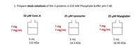 1. Prepare stock solutions of the 3 proteins in 0.8 mM Phosphate buffer pH=7.40
10 μΜ Conc.A
25 µM Lysozyme
25 µM Myoglobin
? mg
? mg/mL
? mg
? mg/mL
? mg
? mg/mL
5 mL
5 mL
5 mL
14.3 KDa
16.95 KDa
112 KDa
