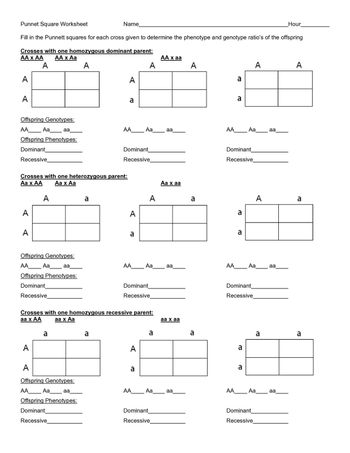 **Punnett Square Worksheet**

*Name: ______________________  Hour: ________*

Fill in the Punnett squares for each cross given to determine the phenotype and genotype ratios of the offspring.

---

**Crosses with One Homozygous Dominant Parent:**

**1. Cross: AA x AA**

|   | A | A |
|---|---|---|
| A |   |   |
| A |   |   |

**Offspring Genotypes:**  
AA____  Aa____  aa____

**Offspring Phenotypes:**  
Dominant ______  
Recessive ______

---

**2. Cross: AA x Aa**

|   | A | A |
|---|---|---|
| A |   |   |
| a |   |   |

**Offspring Genotypes:**  
AA____  Aa____  aa____

**Offspring Phenotypes:**  
Dominant ______  
Recessive ______

---

**3. Cross: AA x aa**

|   | A | A |
|---|---|---|
| a |   |   |
| a |   |   |

**Offspring Genotypes:**  
AA____  Aa____  aa____

**Offspring Phenotypes:**  
Dominant ______  
Recessive ______

---

**Crosses with One Heterozygous Parent:**

**1. Cross: Aa x AA**

|   | A | a |
|---|---|---|
| A |   |   |
| A |   |   |

**Offspring Genotypes:**  
AA____  Aa____  aa____

**Offspring Phenotypes:**  
Dominant ______  
Recessive ______

---

**2. Cross: Aa x Aa**

|   | A | a |
|---|---|---|
| A |   |   |
| a |   |   |

**Offspring Genotypes:**  
AA____  Aa____  aa____

**Offspring Phenotypes:**  
Dominant ______  
Recessive ______

---

**3. Cross: Aa x aa**

|   | A | a |
|---|---|---|
| a |   |   |
| a |   |   |

**Offspring Genotypes:**  
AA____  Aa____  aa____

**Offspring Phenotypes:**  
Dominant ______  
Recessive ______

---

**Crosses with One Homozygous Recessive Parent:**

**