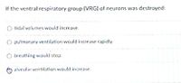 If the ventral respiratory group (VRG) of neurons was destroyed:
tidal volumes would increase.
O pulmonary ventilation would increase rapidly.
Obreathing would stop.
alveolar ventilation would increase