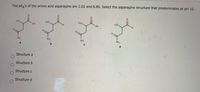 **Title: Predominant Structure of Asparagine at pH 10**

**Content:**
---
**The pKa values of the amino acid asparagine are 2.02 and 8.80. Select the asparagine structure that predominates at pH 10.**

**Structures:**
1. **Structure a:**

   ![Structure a](https://example.com/structure-a.png)
   ```
   H₂N
    |
    CO
    |
    HO
    |
    C=O
    |
    NH₂
   ```

2. **Structure b:**

   ![Structure b](https://example.com/structure-b.png)
   ```
   H₂N
    |
    CO
    |
    O
    |
    C=O
    |
    NH₂
   ```

3. **Structure c:**

   ![Structure c](https://example.com/structure-c.png)
   ```
   H₂N
    |
    CO
    |
    O
    |
    C=O
    |
    HO
   ```

4. **Structure d:**

   ![Structure d](https://example.com/structure-d.png)
   ```
   H₂N
    |
    CO
    |
    O
    |
    C=O
    |
    NH₂
   ```

**Options to Choose:**
- O Structure a
- O Structure b
- O Structure c
- O Structure d

---

At a pH of 10, the predominant species of asparagine will have both ionizable groups (amino and carboxyl groups) in their deprotonated or charged forms. Given that the carboxyl group deprotonates around pKa 2.02 and the amino group deprotonates around pKa 8.80, at a pH of 10, both groups will lose a proton. Hence, the correct structure that predominates at pH 10 should be deprotonated at the carboxyl group and amino group.

**Answer: Structure b** 

Explanation: At pH 10, both the carboxyl group (-COOH) and the amino group (-NH₄⁺) will be deprotonated. This results in the carboxyl group becoming -COO⁻ and the amino group remaining as -NH₂, matching the structure b