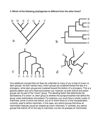 3. Which of the following phylogenies is different from the other three?
B DECGA F
a
F
F
d
B'
FAG CEDB
One additional concept that will likely be unfamiliar to many of you is that of crown vs.
stem groups. As their names imply, crown groups are clustered toward the tips of a
phylogeny, while stem groups are clustered toward the bottom of a phylogeny. This is a
general pattern and not a fixed and precise rule, however, as both extinct and extant
groups can be part of the "crown" group. The deciding factor that determines the
delineations of a crown vs. stem group is whether the synapomorphies that define the
group under examination are present. For example, you could have a whole cluster of
mammals, some of which are extinct, but all of which show all of the characteristics
currently used to define mammals. In this case, any extinct groups that show all
mammalian features would be classed as crown mammals. In contrast, any extinct
groups that branch off on the way to mammals, but did not possess all mammalian
