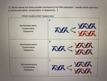 12. Shown below are three possible mechanisms for DNA replication. Identify which each kind
is (semiconservative, conservative, or dispersive). I
Which model is this? (select one)
A.
Semiconservative
Conservative
Dispersive
Semiconservative
Conservative
Dispersive
Semiconservative
Conservative
Dispersive
B.
C.
XXX<
XXXXXX
XXX<
x<
XXXXXXXX
XXXXXXXxXxXx
XXXXXX
MXXXXX
XXxxxxxX
XXXXXX