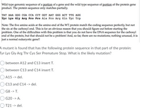 Wild type genomic sequence of a portion of a gene and the wild type sequence of portion of the protein gene
product. The protein sequence only matches partially.
ТАT AAA GGG СGA ССА ССТ GсT AАT GGG АСт тTG AGG
Tyr Lys Gly Arg Pro Pro Ala Pro Arg Gln Tyr Trp
Note: The five amino acids at the amino end of the WT protein match the coding sequence perfectly, but not
the six at the carboxyl end. This is for an obvious reason that you should figure out before starting the
problem. One of the difficulties with this problem is that you do not have the DNA sequence for the carboxyl
end of the protein, but that should not be a problem! And, so far, there are no mutations; nothing unusual, it is
just a normal eukaryotic gene!!
A mutant is found that has the following protein sequence in that part of the protein:
Tyr Lys Gly Arg Thr Cys Ser Premature Stop. What is the likely mutation?
between A12 and C13 insert T.
between C13 and C14 insert T.
A15 -> del.
C13 and C14 -> del.
G8 -> T.
G20 -> A.
T21 -> del.
