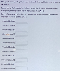 This question is regarding the 6 areas that can be involved in the control of gene
expression:
Part 1 - Using the image below, indicate where the six major control points for
eukaryotic gene expression are on the figure (Letters A - F).
Part 2 - Please give a brief description of what is occurring at each point or the
specific molecule(s) for letters A- F.
1. Control Point A
2. Description of A
3. Control Point B
4. Description of B
5. Control Point C
6. Description of C
7. Control Point D
8. Description of D
9. Control Point E
10. Description of E
11. Control Point F
12. Description of F
