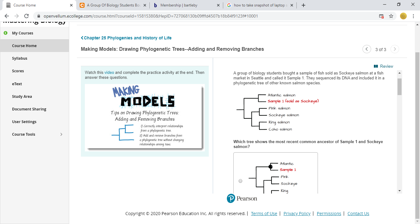 Answered: B Membership | Bartleby C A Group Of… | Bartleby