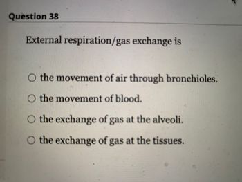 Question 38
External respiration/gas exchange is
O the movement of air through bronchioles.
O the movement of blood.
O the exchange of gas at the alveoli.
O the exchange of gas at the tissues.