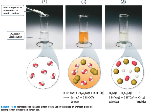 Answered: NaBr catalyst about to be added to… | bartleby