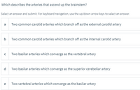 Which describes the arteries that ascend up the brainstem?
Select an answer and submit. For keyboard navigation, use the up/down arrow keys to select an answer.
a
Two common carotid arteries which branch off as the external carotid artery
b
Two common carotid arteries which branch off as the internal carotid artery
Two basilar arteries which converge as the vertebral artery
Two basilar arteries which converge as the superior cerebellar artery
e
Two vertebral arteries which converge as the basilar artery
