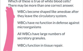 Which of these is true of white blood cells?
There may be more than one correct answer.
WBCs become shaped like ameobae after
they leave the circulatory system.
WBCs have no function in defense against
microorganisms
All WBCs have large numbers of
secretory granules.
WBCs function in tissue repair.