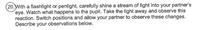 (20.With a flashlight or penlight, carefully shine a stream of light into your partner's
eye. Watch what happens to the pupil. Take the light away and observe this
reaction. Switch positions and allow your partner to observe these changes.
Describe your observations below.
