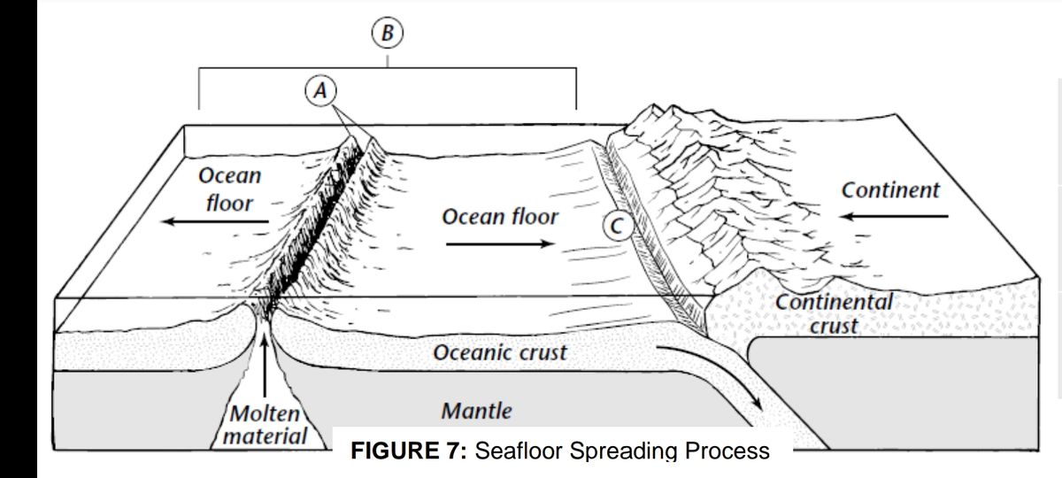 how old is the oceanic crust