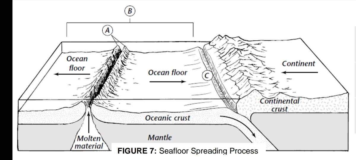 Ocean Floor, Overview, Features & Diagram - Video & Lesson Transcript