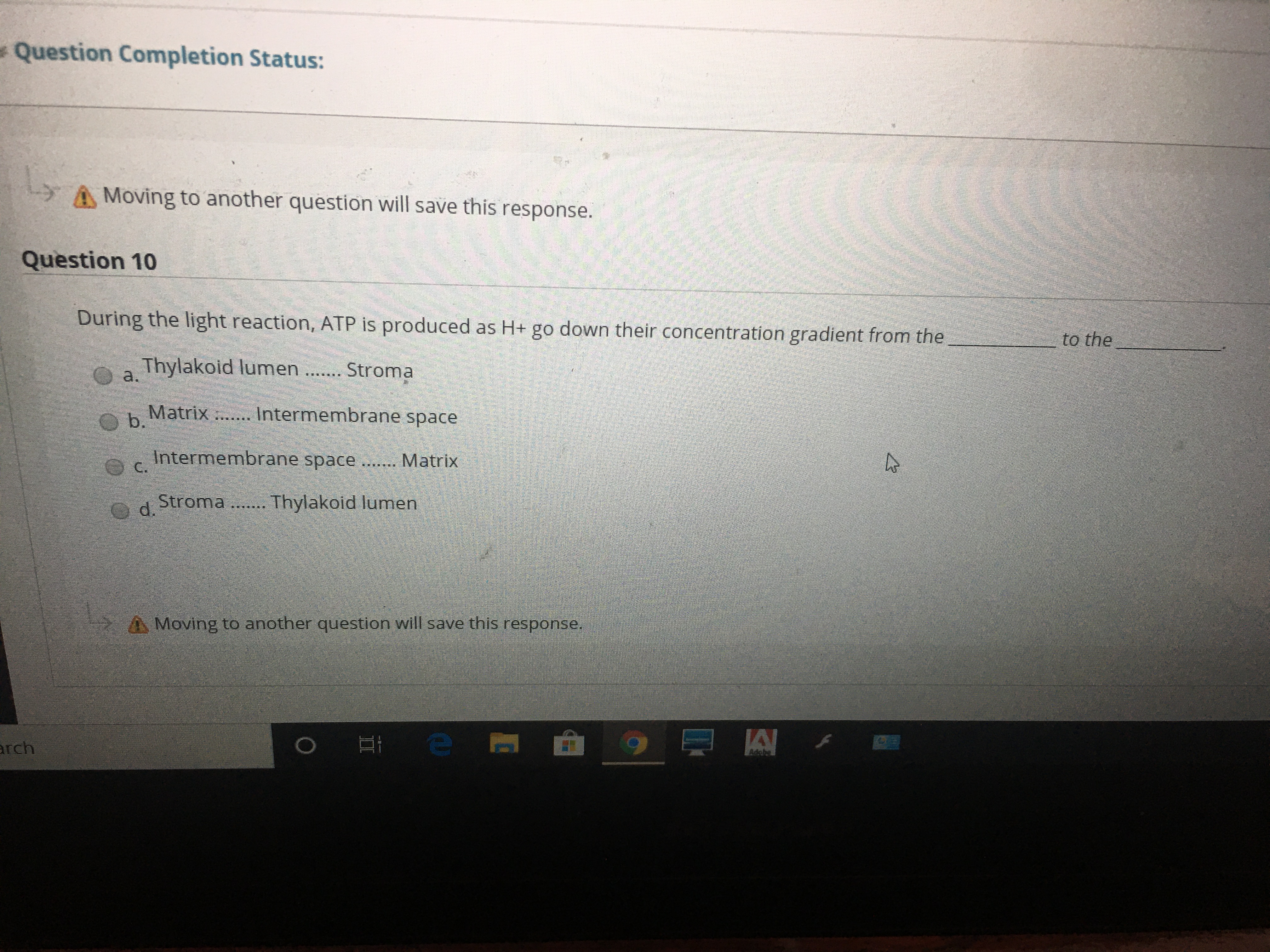 During the light reaction, ATP is produced as H+ go down their concentration gradient from the
to the
