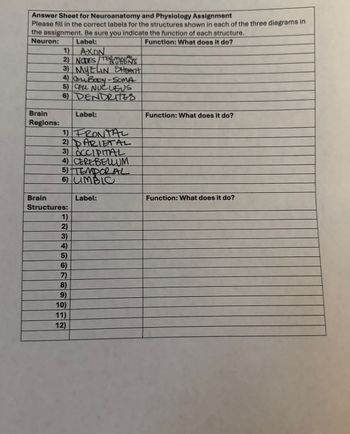 Answer Sheet for Neuroanatomy and Physiology Assignment
Please fill in the correct labels for the structures shown in each of the three diagrams in
the assignment. Be sure you indicate the function of each structure.
Neuron:
1)
Brain
Regions:
Brain
Label:
AXON
2) NODES/TERMINALYS
3) MYELIN SHEATH
4) ComBODY-SOMA
5) CELL NUCLEUS
6) DENDRITES
Label:
1) FRONTAL
2) DARIETAL
3) OCCIPITAL
4) CEREBELLUM
5) TEMPORAL
6) UMBIC
Structures:
Label:
Function: What does it do?
Function: What does it do?
Function: What does it do?
1)
2)
3)
4)
5)
6)
7)
8)
9)
10)
11)
12)