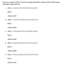 Answered: Given is a strand of DNA, fill in the… | bartleby