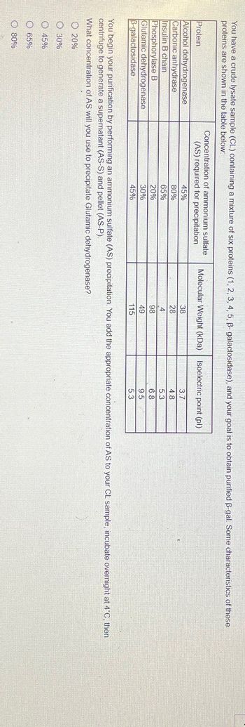 You have a crude lysate sample (CL) containing a mixture of six proteins (1, 2, 3, 4, 5, ẞ- galactosidase), and your goal is to obtain purified ẞ-gal. Some characteristics of these
proteins are shown in the table below.
Protein
Alcohol dehydrogenase
Carbonic anhydrase
Insulin B chain
Phosphorylase B
Glutamic dehydrogenase
B-galactosidase
45%
Concentration of ammonium sulfate
(AS) required for precipitation
Molecular Weight (kDa)
Isoelectric point (pl)
38
3.7
80%
65%
20%
30%
45%
28
4.8
4
5.3
98
6.8
49
9.5
115
5.3
You begin your purification by performing an ammonium sulfate (AS) precipitation. You add the appropriate concentration of AS to your CL sample, incubate overnight at 4°C, then
centrifuge to generate a supernatant (AS-S) and pellet (AS-P).
What concentration of AS will you use to precipitate Glutamic dehydrogenase?
© 20%
O 30%
45%
65%
80%