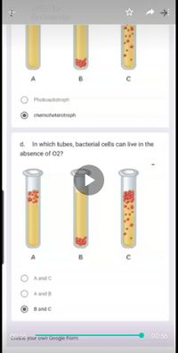 رولا يونس
26 minutes ago
Photoautotroph
chemoheterotroph
d.
In which tubes, bacterial cells can live in the
absence of 02?
A and C
A and B
В and C
00:55
Ee your own Google Form
00:56
