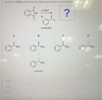 C
Predict the FINAL product for the following synthetic transformation:
: NH
of
1) KOH
2)
Br
?
A
B
oc
A
B
NH2
+
3) NH2NH2
C
D
NH2
NH2
NH2
NH2
(mixture)