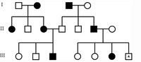 ### Pedigree Chart Explanation

This pedigree chart is a diagram used to track the inheritance of a particular trait across three generations. Each symbol and connection provides specific genetic information:

#### Symbols:

- Squares represent males.
- Circles represent females.
- Filled symbols (either squares or circles) indicate individuals who express the trait in question.
- Unfilled symbols represent individuals who do not express the trait.
- The symbol with the letter "A" indicates an affected individual from whom additional information may be gathered.

#### Generations:

- **Generation I:** The top row shows two couples. The first couple has a male expressing the trait and a female who does not. The second couple has a male who does not express the trait and a female who does.
- **Generation II:** In the center row, we see the offspring of Generation I. From the first couple, there are three children: one female expressing the trait, one male who does not express the trait, and one female who does not express the trait. From the second couple, there are also three children: a female who does not express the trait and two males, one of whom expresses the trait.
- **Generation III:** The bottom row shows the offspring of Generation II. The individuals are the children of the first male in Generation II. There are three children: one female who does not express the trait, one male who does not express the trait, and one male who expresses the trait. There is another branch showing the offspring of the male in Generation II who expresses the trait; this branch contains four children, with three females (two unshaded and one shaded) and one male (indicated with the letter "A" as affected).

This chart effectively illustrates the inheritance pattern and can be used to analyze whether the trait follows a dominant or recessive mode of inheritance. It is a useful tool in genetics to study family traits and potential genetic conditions.