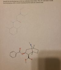 Identify the functional groups in the two molecules shown below. Then, for each ester or amide
functional group, write a reaction showing how the molecule could be made.
H.
H.
