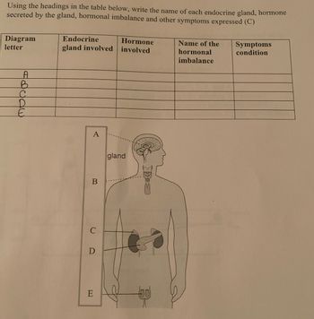 Using the headings in the table below, write the name of each endocrine gland, hormone
secreted by the gland, hormonal imbalance and other symptoms expressed (C)
Diagram
letter
B
с
D
Endocrine
gland involved
A
B
C
D
E
Hormone
involved
gland
DIS
Name of the
hormonal
imbalance
Symptoms
condition