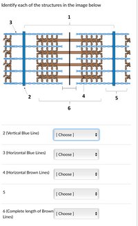 Answered: Identify Each Of The Structures In The… | Bartleby